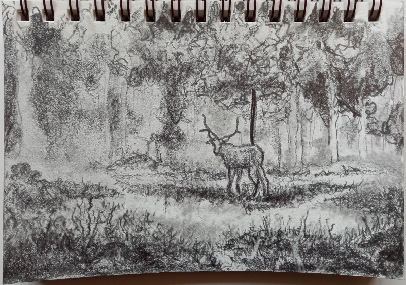 Deer in forest
