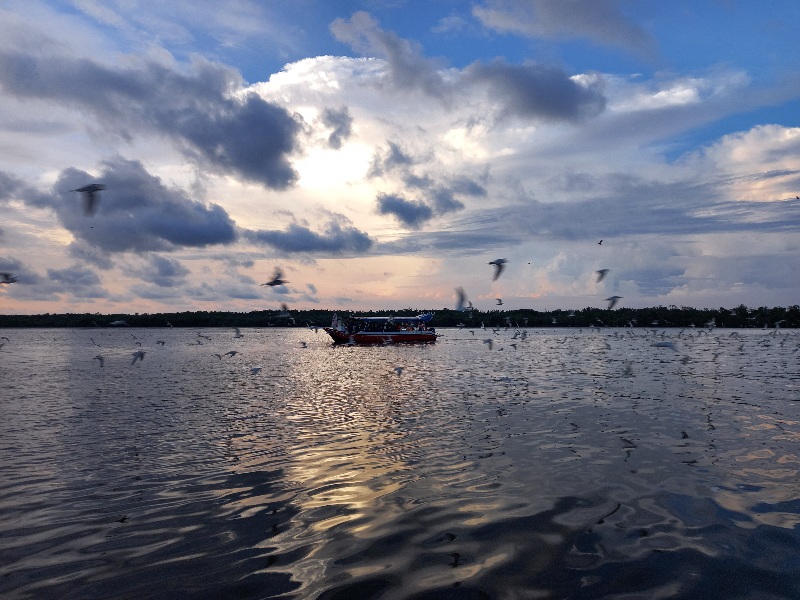A river cruise by Kuala Selangor.