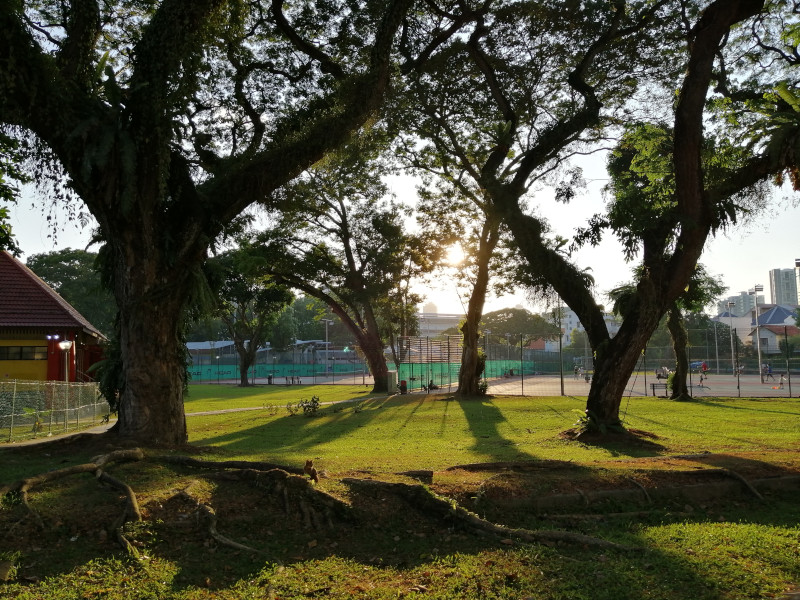 Farrer Park tennis court
