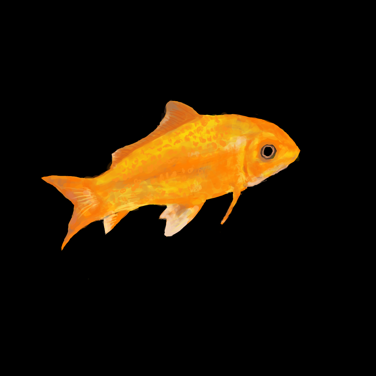 Fish illustration.