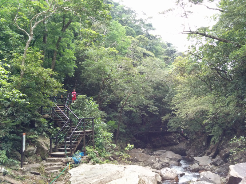 Kunigami Okinawa Staircase