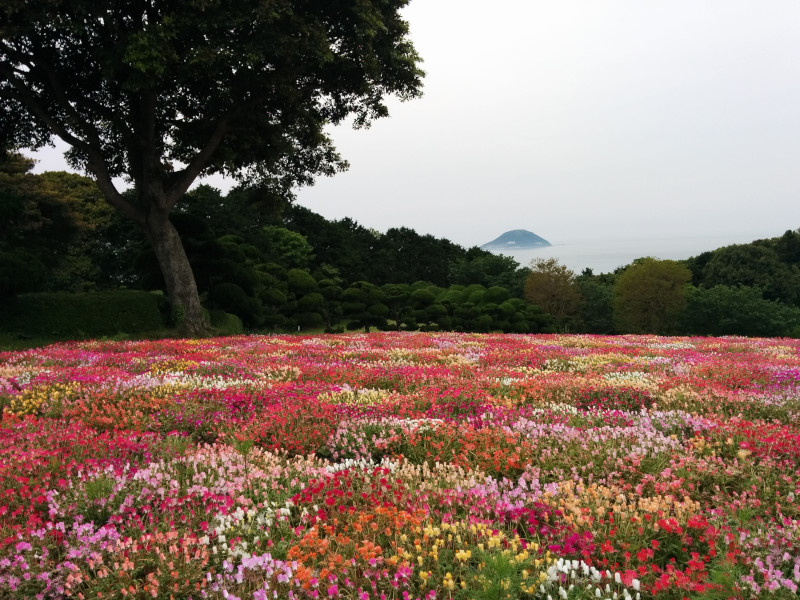 Nokonoshima Island Park
